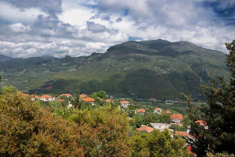 myrsini
