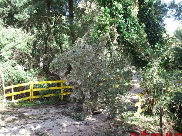 IMG 20121017_104621 copy