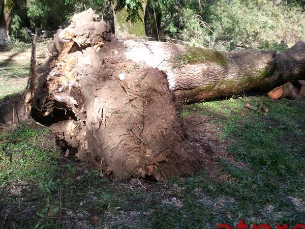 IMG 20121017_104807 copy