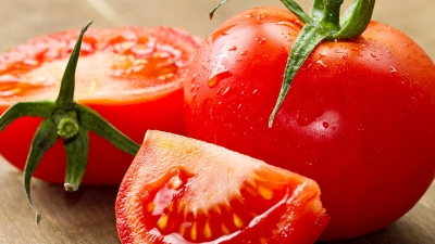 Πλήττονται οι ντοματοπαραγωγοί της Πρέβεζας από τις εισαγωγές “αλβανικής ντομάτας” - Αναλυτικό ρεπορτάζ