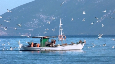 Ανακοίνωση της ΔΑΟΚ Πρέβεζας για θέματα αλιείας