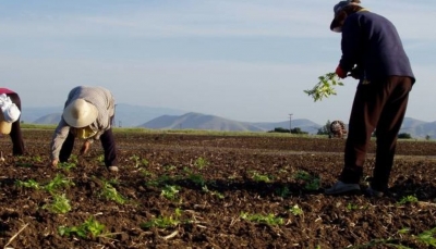ΑΝΤΑΡΣΥΑ Πρέβεζας: “Αγώνας για την επιβίωση της φτωχομεσαίας αγροτιάς, των αυτοαπασχολούμενων και των εργαζομένων στον αγροτικό τομέα”