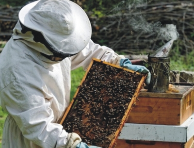 Καταχώριση και τήρηση Μητρώου φορέων εγκαταστάσεων μελισσοκομίας άμεσης προμήθειας μικρών ποσοτήτων μελιού