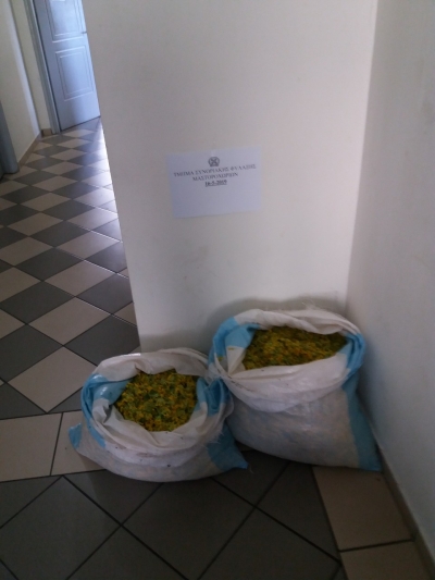 Συνεχίζονται οι συλλήψεις στα ορεινά της Ηπείρου για παράνομη συλλογή αρωματικών-θεραπευτικών φυτών