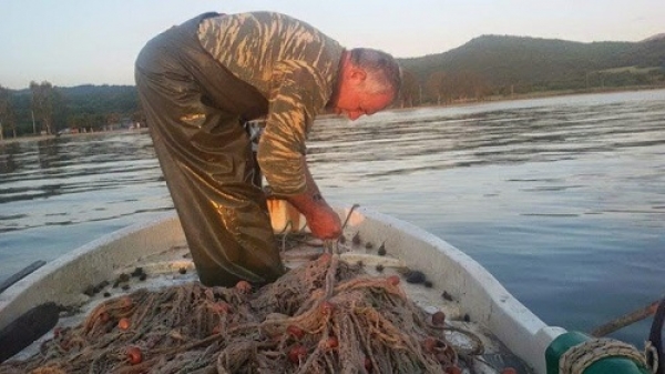 Κίνδυνος να εξαφανιστεί η γαρίδα Αμβρακικού – Οι αλιείς εκπέμπουν SOS για τον Αμβρακικό