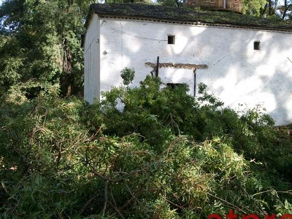 Πρωτόγνωρες εικόνες στο δάσος του Αγίου Βαρνάβα