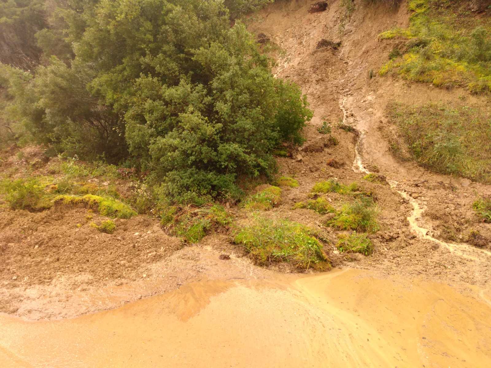 IMG 3a3eb88f56d944dde12f233e5a709103 V