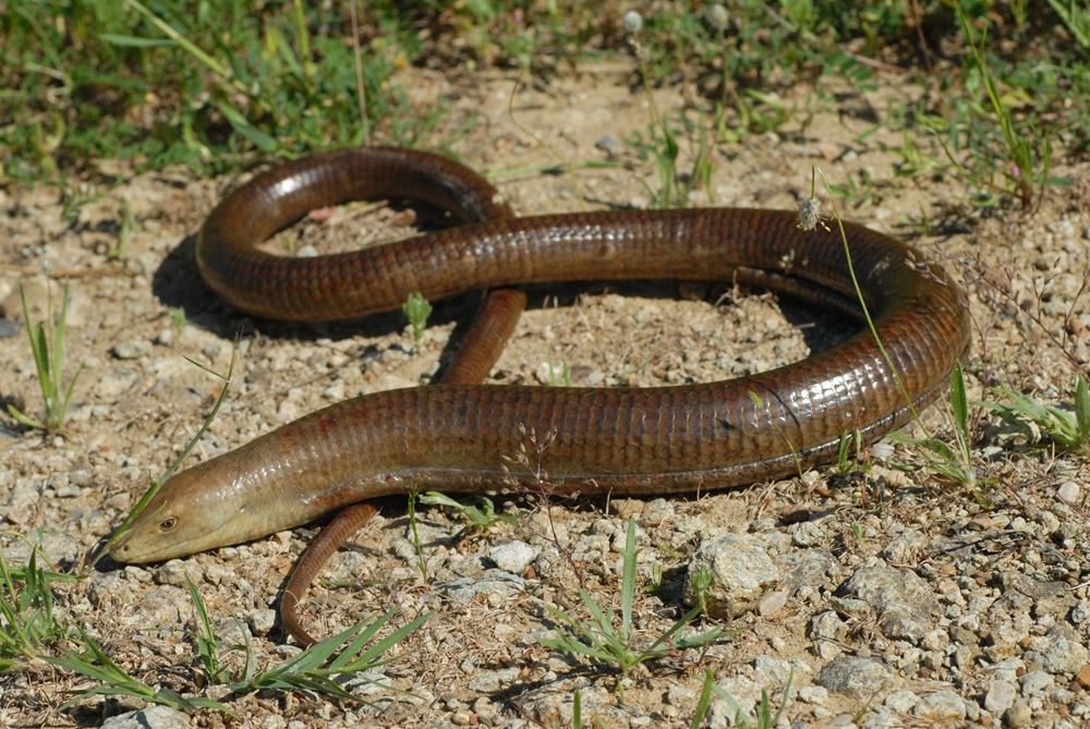 644807816 908463305152151 5410281948561437631 n