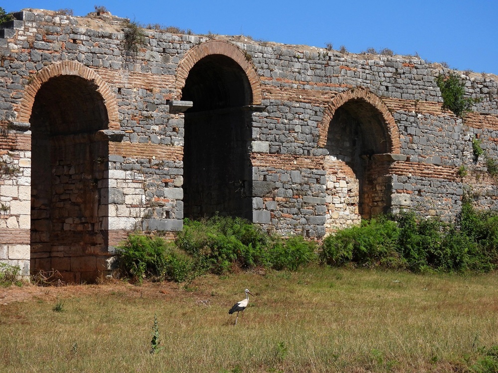 645488976 908463188485496 5134227237685903690 n