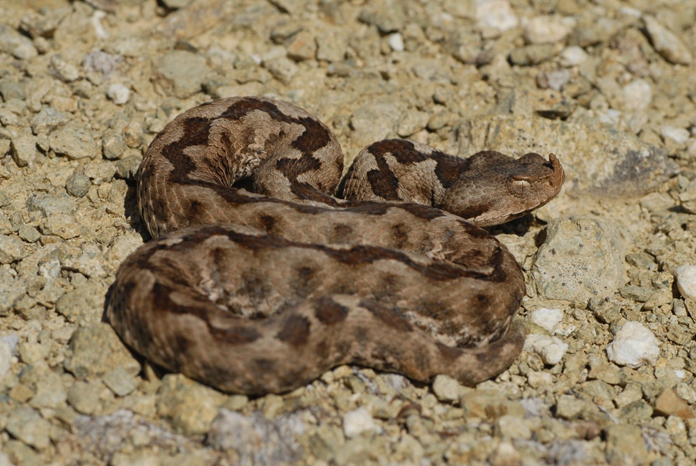 646376722 908463161818832 2466318672423945699 n