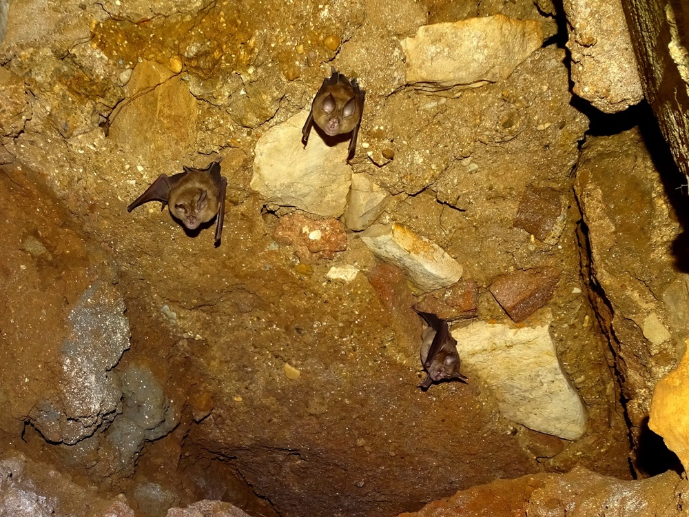 646793012 908463278485487 8434405232169924313 n