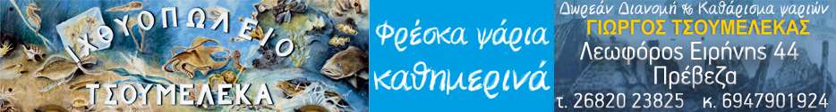 tsoumelekasbanner