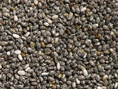 chia03