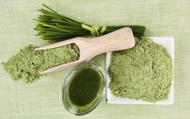 wheatgrass02