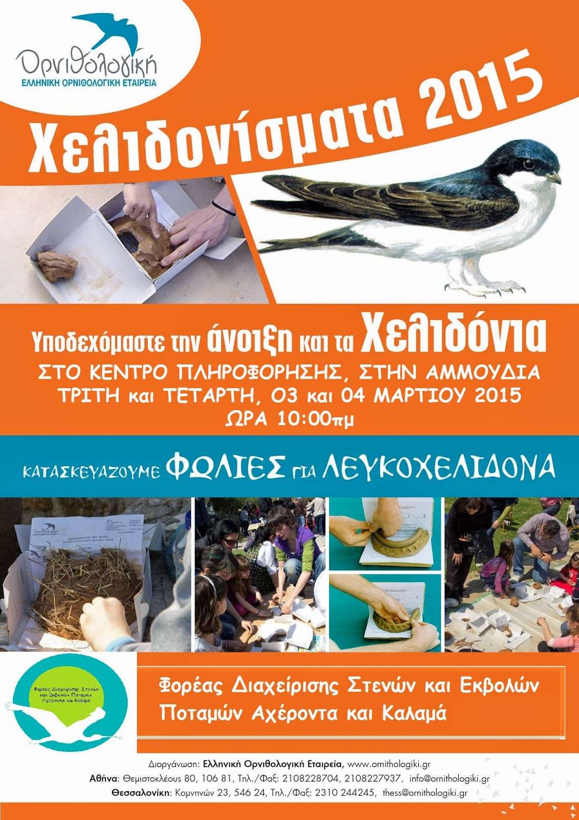 Αφίσα Χελιδονισμάτων 2015 - Αμμουδιά