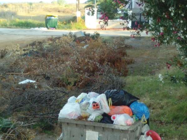 IMG 20140722_074908