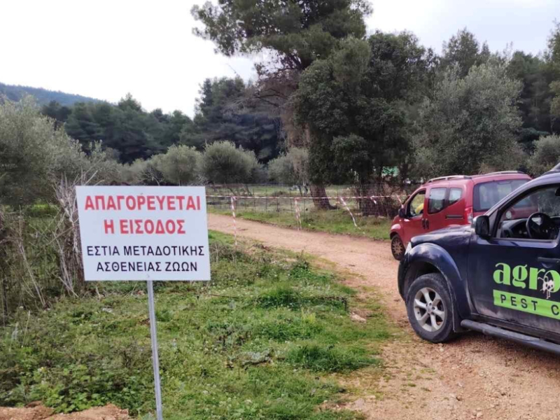 Αρνητικά και τα νέα δείγματα για ευλογιά σε κτηνοτροφικές μονάδες της Π.Ε. Πρέβεζας