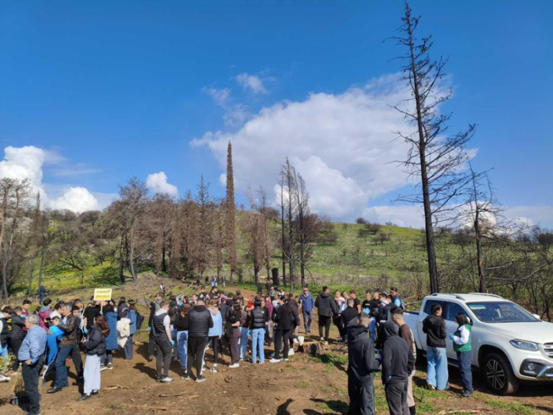 Δράση δεντροφύτευσης πραγματοποιήθηκε στη Λίμνη Ζηρού