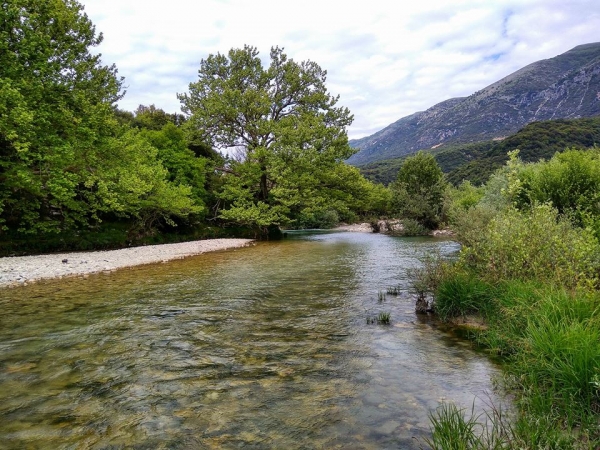 Απαγόρευση της αλιείας (πλην πέστροφας) σε όλα τα ποτάμια, τους παραπόταμους αυτών και σε όλα τα υδάτινα οικοσυστήματα εσωτερικών υδάτων της Ηπείρου