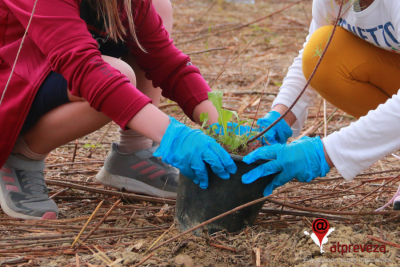 Μαθητές της Πρέβεζας φύτευσαν 105 δέντρα σε πρώην χωματερή στη Νικόπολη