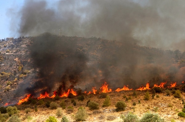 Μεγάλη πυρκαγιά στο Βουβοπόταμο Πρέβεζας – Κάηκαν 40 στρέμματα δάσους