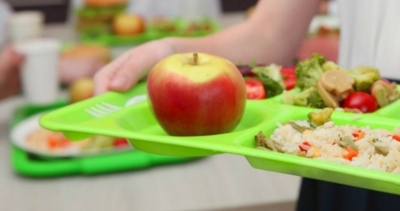Δεν υπήρξε αίτημα από τους Δήμους της Π.Ε. Πρέβεζας για σχολικά γεύματα