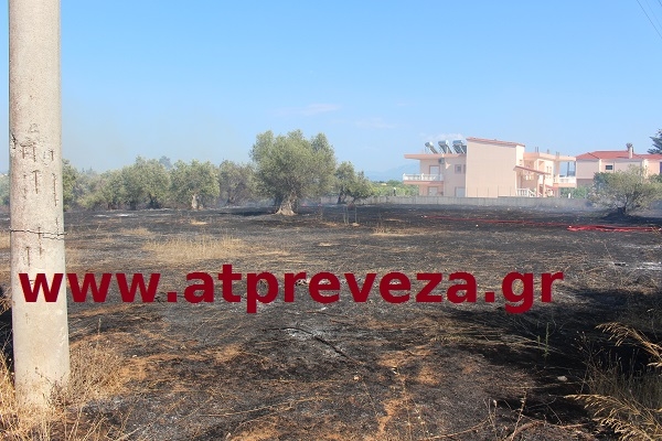 Πυρκαγιά στη Δροσιά Πρέβεζας – Απειλήθηκαν προς στιγμήν κατοικίες (photo+vid)