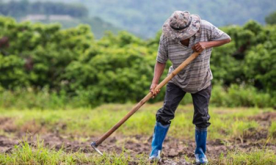 Το Υπουργείο “κωφεύει” εδώ και μήνες για το πρόβλημα με τους εργάτες γης – Το atpreveza.gr το είχε επισημάνει από το Φεβρουάριο
