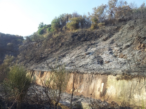 Ξέσπασε πυρκαγιά κοντά στο χωριό Βράχος - Τέθηκε υπό έλεγχο από τις δυνάμεις της Πυροσβεστικής
