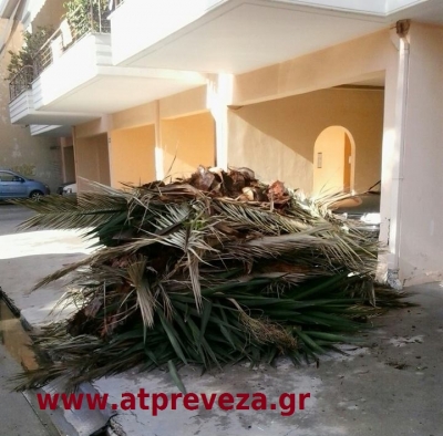 Δεν... ακούει, δε... βλέπει ο Δήμος Πρέβεζας (photo)
