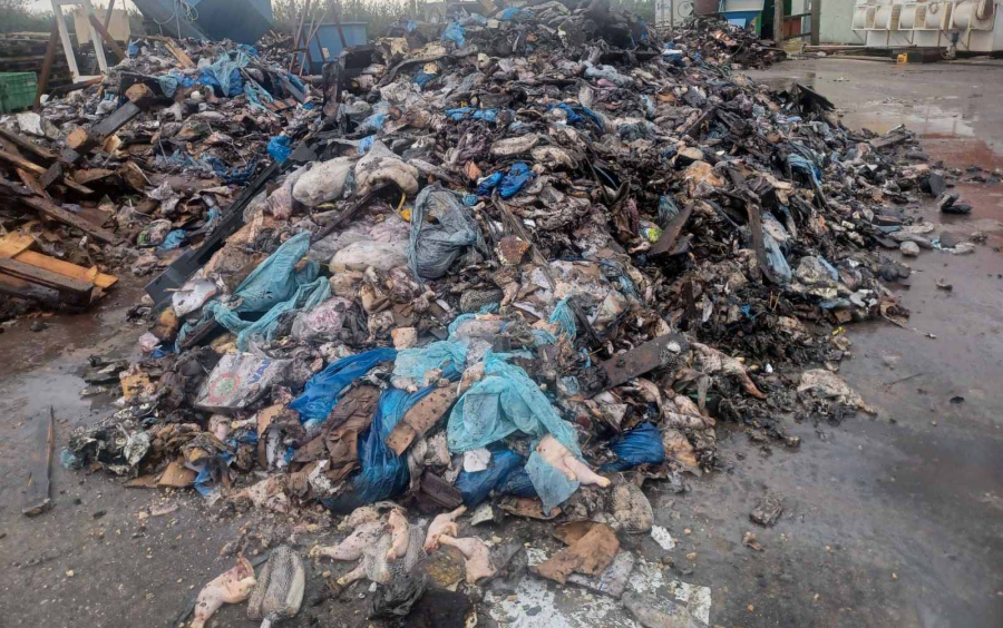 Ζωικά απόβλητα από την Κέρκυρα ενταφιάζονταν σε αυλή εταιρείας στο δήμο Ζηρού - 3 συλλήψεις