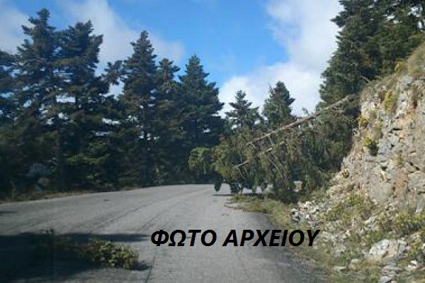 Με προβλήματα για λίγες ώρες η κυκλοφορία στην Ε.Ο. Πρέβεζας-Άρτας λόγω πτώσης δέντρου