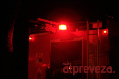 Φωτιά στο αισθητικό δάσος στο Μονολίθι Πρέβεζας-Έγκαιρη επέμβαση της Πυροσβεστικής