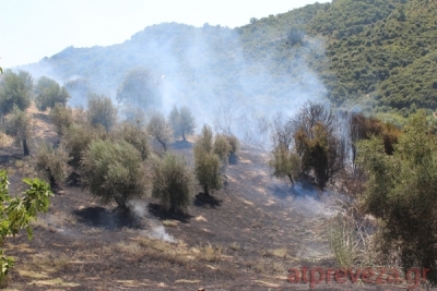 Ζημιές σε στάβλο στο Δρυόφυτο Πρέβεζας λόγω πυρκαγιάς