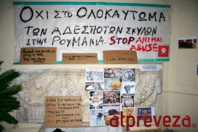 "Όχι στο ολοκαύτωμα των αδέσποτων σκύλων στη Ρουμανία"