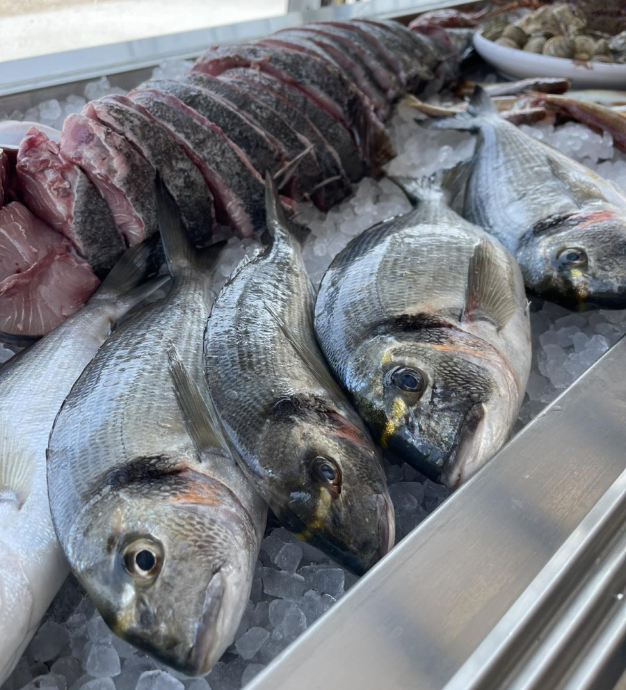 Alati Sea Food &amp; More: Μοναδικό ταξίδι γεύσεων με φρέσκα ψάρια και θαλασσινά!