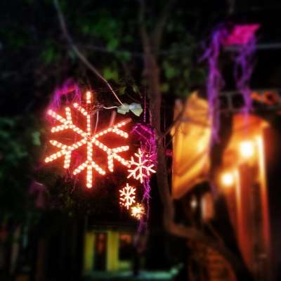 It's Christmas time...