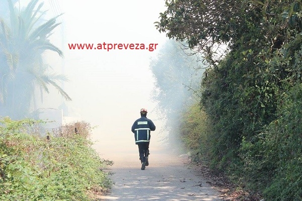 Φωτιά στην περιοχή Λογγίδια στην πόλη της Πρέβεζας (photo)