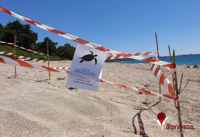 Να σταματήσουν άμεσα τα έργα στον ποδηλατόδρομο στο Μονολίθι για την προστασία της χελώνας caretta caretta ζητά ο ΑΡΧΕΛΩΝ