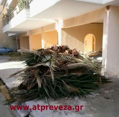 Καταγγελίες αναγνωστών στο atpreveza (photo)