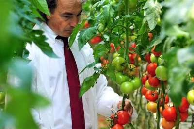 Στο θερμοκήπιο της Εδέμ (της Άννας Στεργίου)