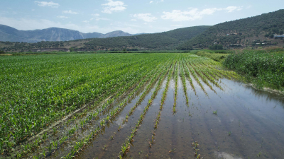 Αγροτοκτηνοτροφικός Σύλλογος Φαναρίου Πρέβεζας: “Πλημμυρίζουν και το καλοκαίρι!”