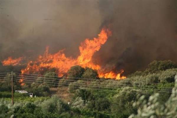 Φωτιά σε αποθήκες κοντά στη Μυρσίνη