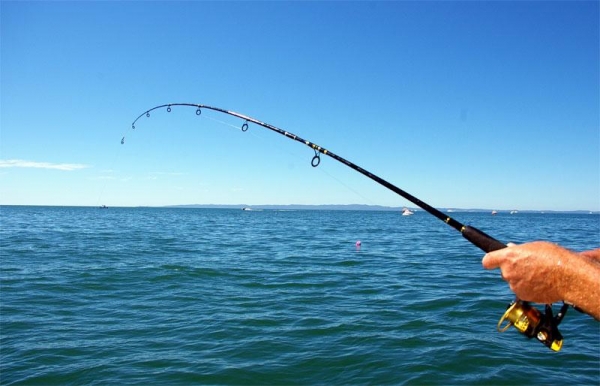 Απαγόρευση αλιείας από την ξηρά σε ορισμένα σημεία της παραλιακής ζώνης της Πρέβεζας