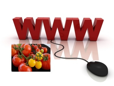 Τα γεωργικά προϊόντα της Ηπείρου στο διαδίκτυο