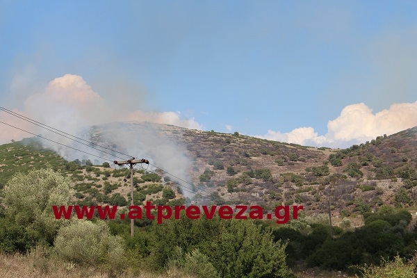 Πυρκαγιά ανάμεσα στα χωριά Κορώνη και Τζάρα της Δ.Ε. Φαναρίου – Φωτορεπορτάζ του atpreveza