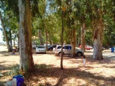 Οι κυρίαρχοι της πόλης μας ή αλλιώς η μεγάλη ντροπή μας