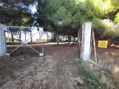 Έκτακτο δημοτικό συμβούλιο για το δάσος της Παργινόσκαλας ζητά ο Πολιτιστικός Σύλλογος “Παντοκράτορας”