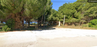 “Έλυνε και έδενε το ΤΕΘΑ” στο δάσος Παργινόσκαλας με απόντες Δήμο Πρέβεζας και Περιφέρεια... - Νέα στοιχεία για το θέμα