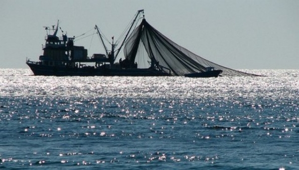 Βουλευτές ΣΥΡΙΖΑ: &quot;Ν&#039; αντιμετωπισθεί η καταστροφική αλιεία στον Αμβρακικό&quot;